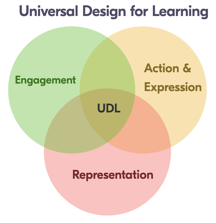 Universal Design for Learning framework graphic